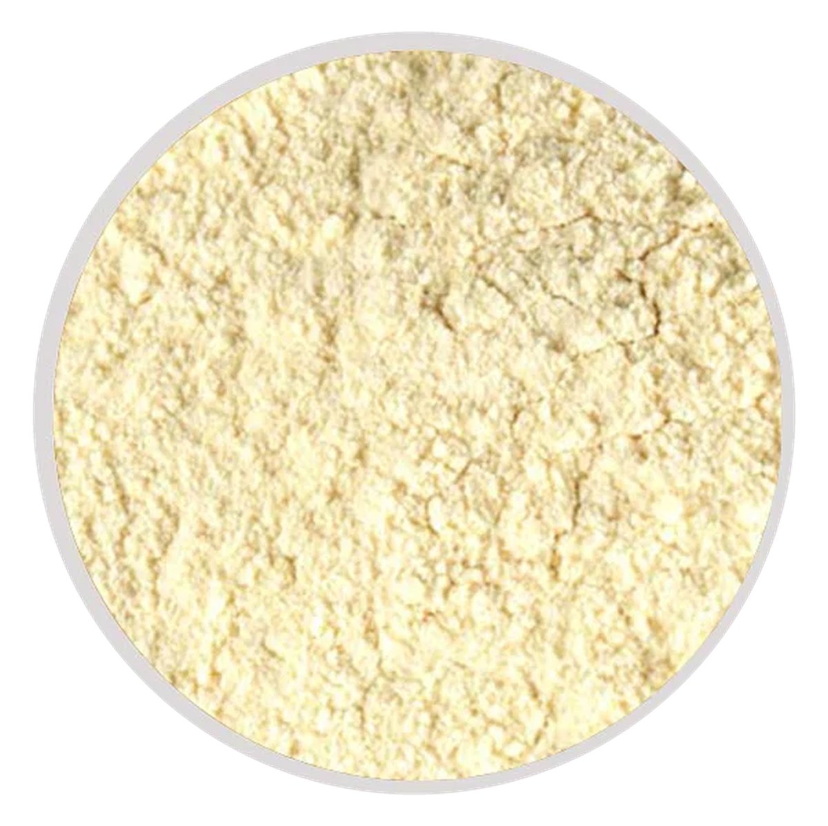 Garlic · Powder finished product reference
