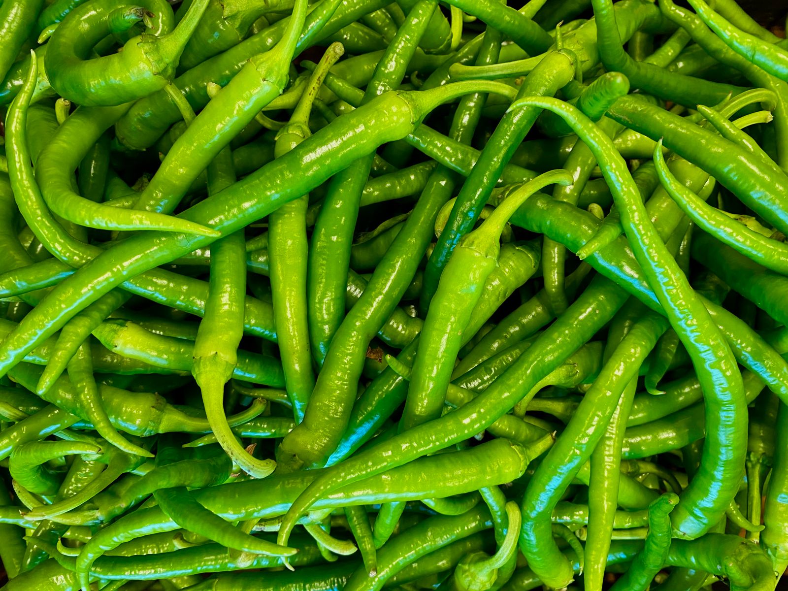 Fresh green chilli representative product photograph