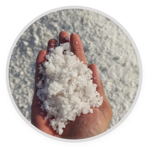 Larger white salt crystals