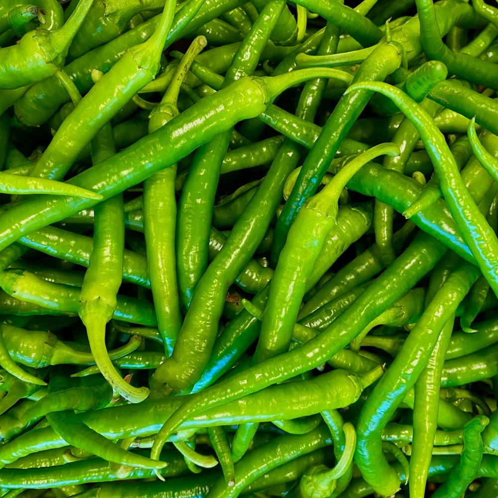 Fresh green chilli